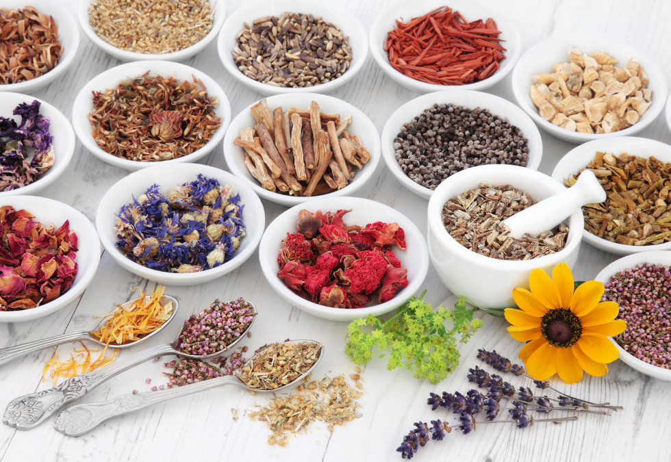 news/herbs-in-ayurveda-heal-your-mind-body-and-soul