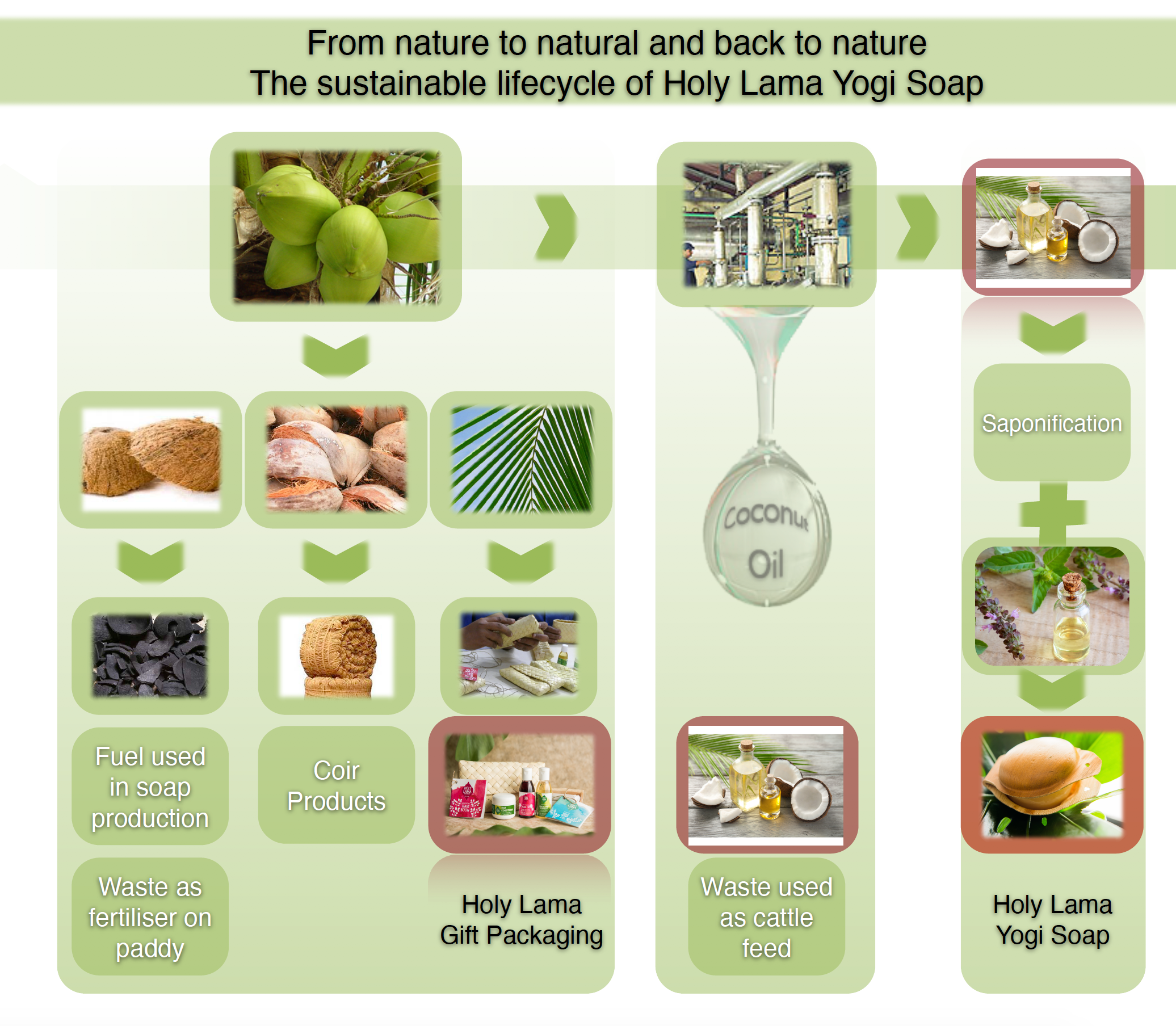 sustainable-life-cycle-of-soaps